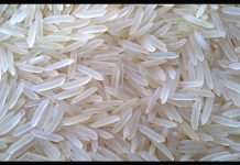 সুগন্ধি চাল রপ্তানি বন্ধের প্রভাব অন্য কৃষিপণ্যে