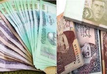 ১ টাকায় মিলছে পাকিস্তানের ২.২০ রুপি