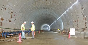 টার্নেল