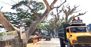 যশোর বেনাপোল মহাসড়ক 2