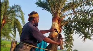 Screenshot 20221030 123807 1