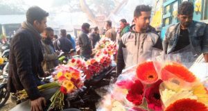 ঘুরে দাঁড়িয়েছে যশোরের গদখালী ফুল চাষিরা 1 godkhali bazar 1