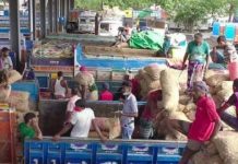 বেনাপোল দিয়ে ২০১টন পেঁয়াজ আমদানি