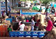 ভারতীয় পেঁয়াজের এলসি দ্বিগুণ, বেনাপোল দিয়ে আমদানি বন্ধ ভারতীয় পেঁয়াজের এলসি দ্বিগুণ, বেনাপোল দিয়ে আমদানি বন্ধ