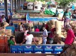 ভারতীয় পেঁয়াজের এলসি দ্বিগুণ, বেনাপোল দিয়ে আমদানি বন্ধ ভারতীয় পেঁয়াজের এলসি দ্বিগুণ, বেনাপোল দিয়ে আমদানি বন্ধ