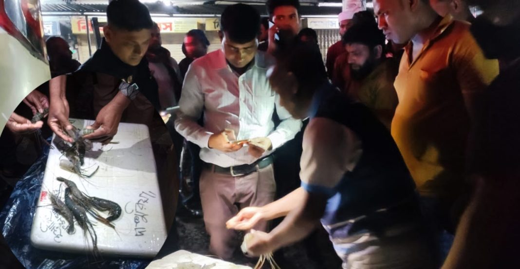 দুটি বাস থেকে ৩৪০ কেজি জেলিপুশকৃত চিংড়ি জব্দ, অর্ধ লক্ষাধিক টাকা জরিমানা