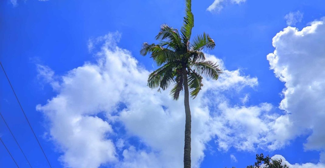 ঢাকাসহ ৮ জেলায় তাপপ্রবাহ, আগামী ৫ দিনে আরও বাড়তে পারে তাপমাত্রা