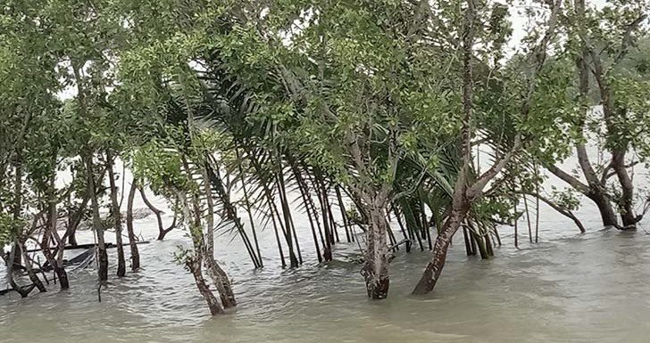ঘূর্ণিঝড় রেমালে এবারও ঢাল হয়ে দাঁড়ালো সুন্দরবন
