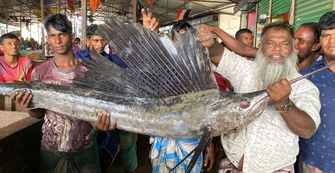 মেঘনায় ধরা পড়ল ২ পাখি মাছ    